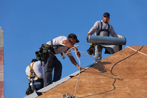 Best Gutter Installation and Roofing  in Osseo, WI